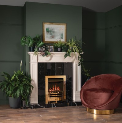 Logic Convector conventional flue fire with Polished Brass-effect Arts front_SN05